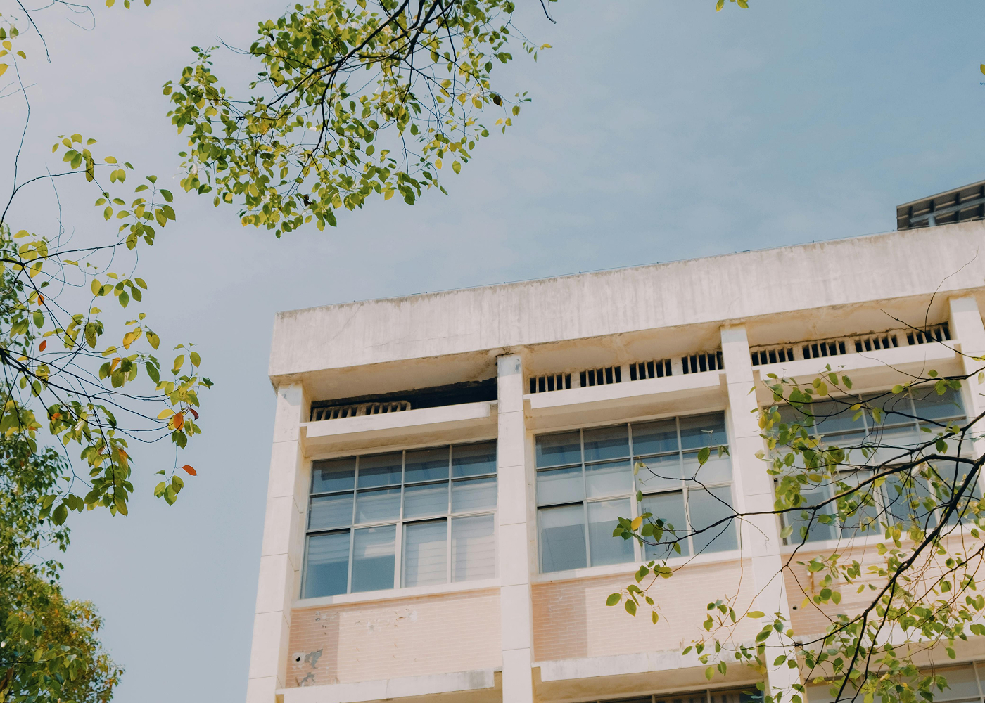 Campus Background